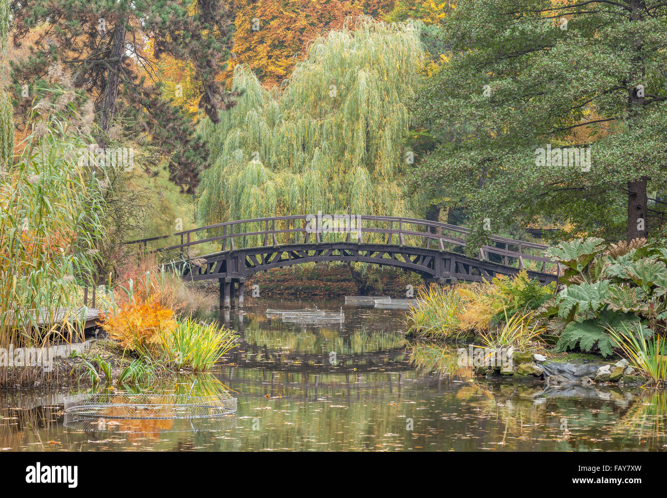 Ponte su acque calme in un colorato paesaggio autunnale Foto Stock