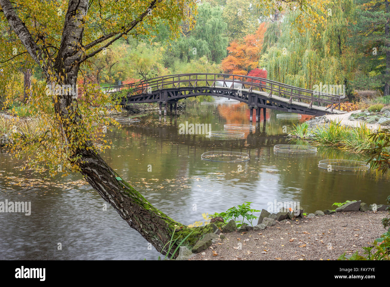 Ponte su acque calme in un colorato paesaggio autunnale Foto Stock