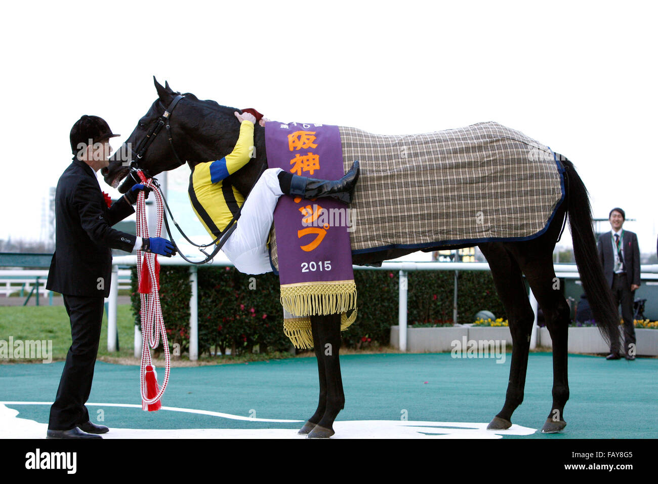 Hyogo, Giappone. Il 26 dicembre, 2015. Rosa Gigantea ( Mirco Demuro) Horse Racing : Jockey Mirco Demuro celebra con Rosa Gigantea dopo aver vinto la Coppa di Hanshin all Ippodromo di Hanshin a Hyogo, Giappone . © Eiichi Yamane/AFLO/Alamy Live News Foto Stock