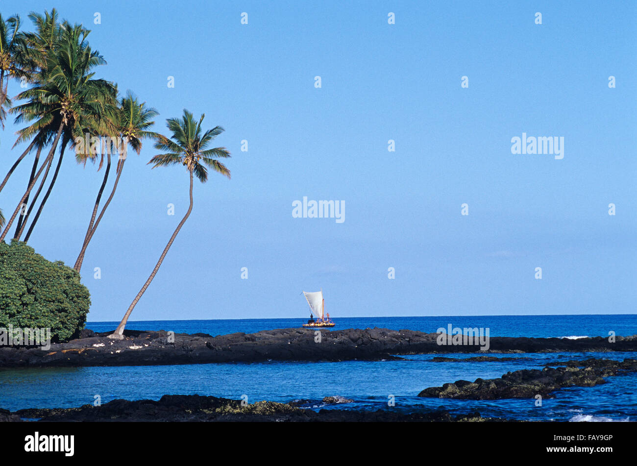 Big Island, Hawaii, Mauna Lani Litorale Sud Kohala, Palm punto, Hawaiian vela canoa a distanza Foto Stock