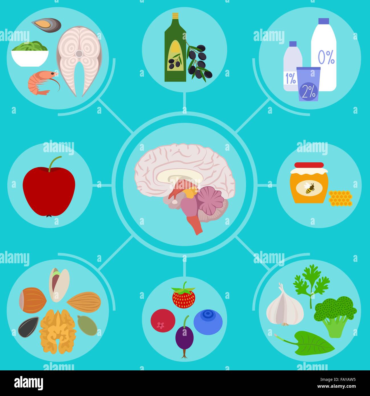 Infographics di cibo disponibile per il cervello sano Illustrazione Vettoriale