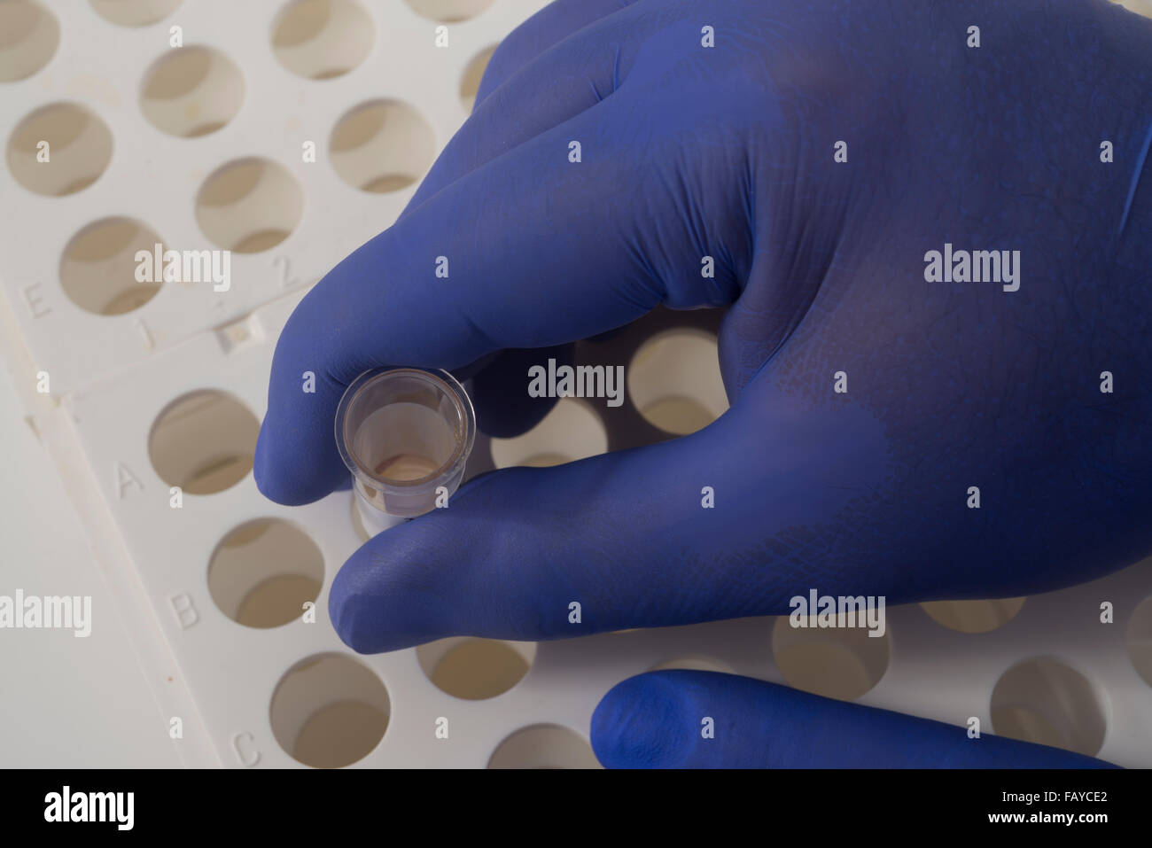 Laboratorio di ricerca particolare della provetta titolare Foto Stock
