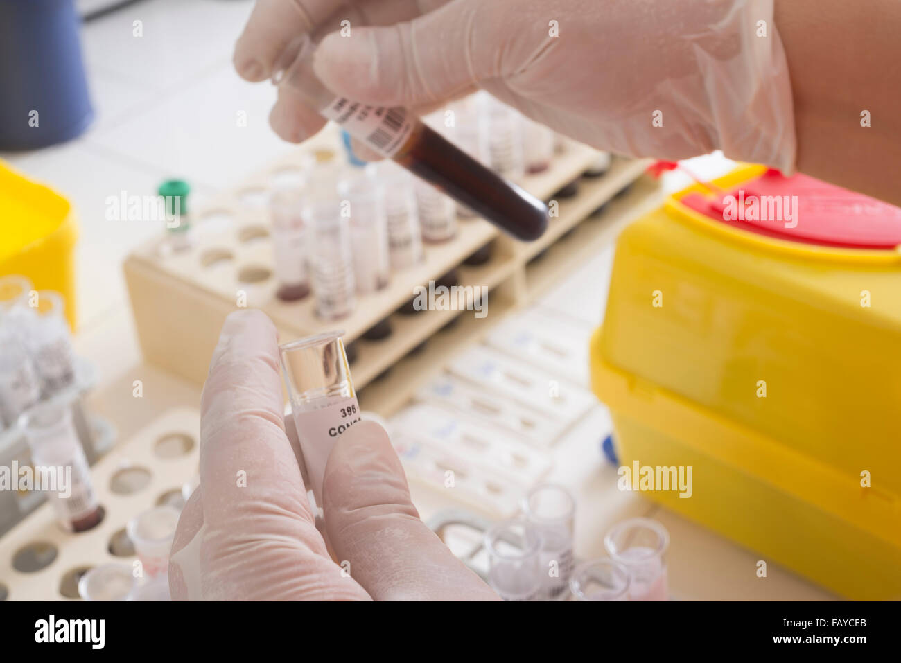 Il test in un laboratorio di ricerca Foto Stock