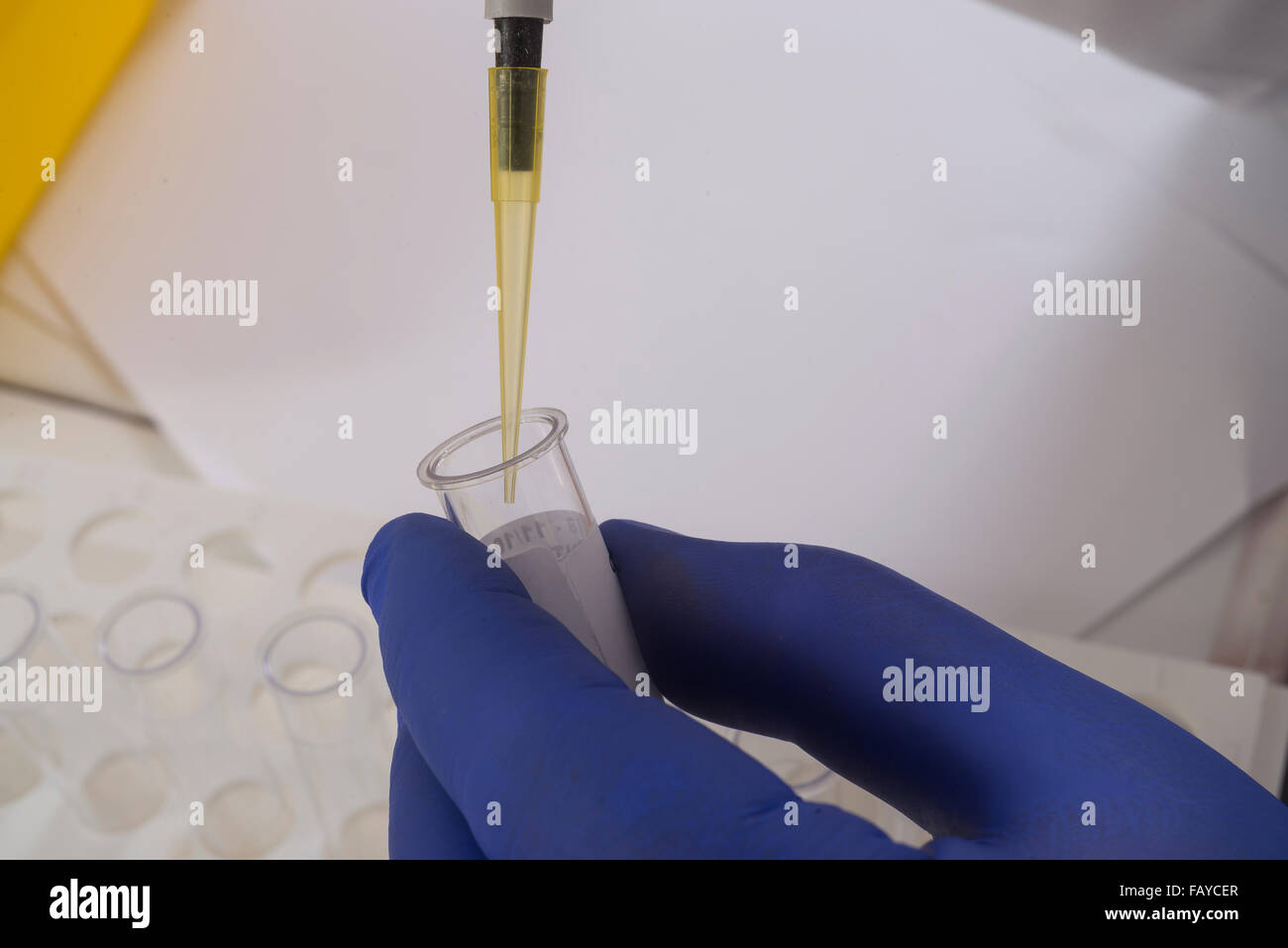 Il test in un laboratorio di ricerca Foto Stock