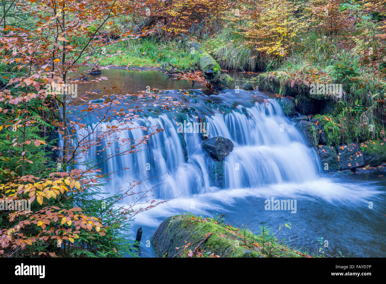 Wild fiume di montagna che scorre nella foresta in autunno scenari colorati Foto Stock
