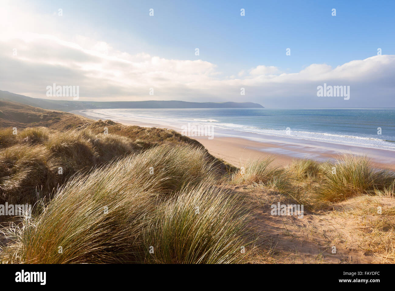 Erba spazzate dal vento sulle dune di sabbia sopra Woolacombe Beach in North Devon, Inghilterra Foto Stock