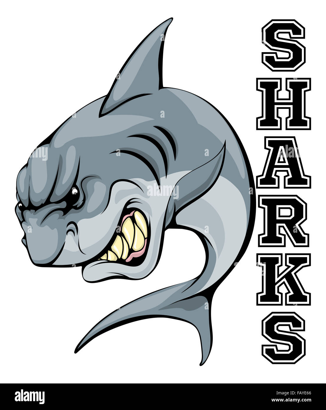 Una illustrazione di un cartoon shark team sportivo mascot con il testo gli squali Foto Stock