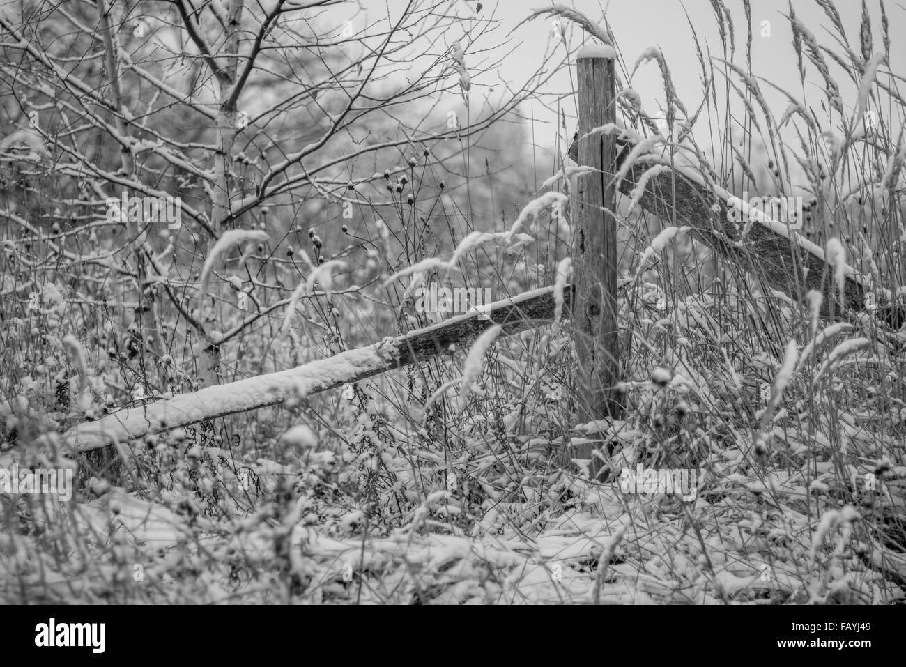 Rovinato staccionata in legno coperto con Sun Foto Stock