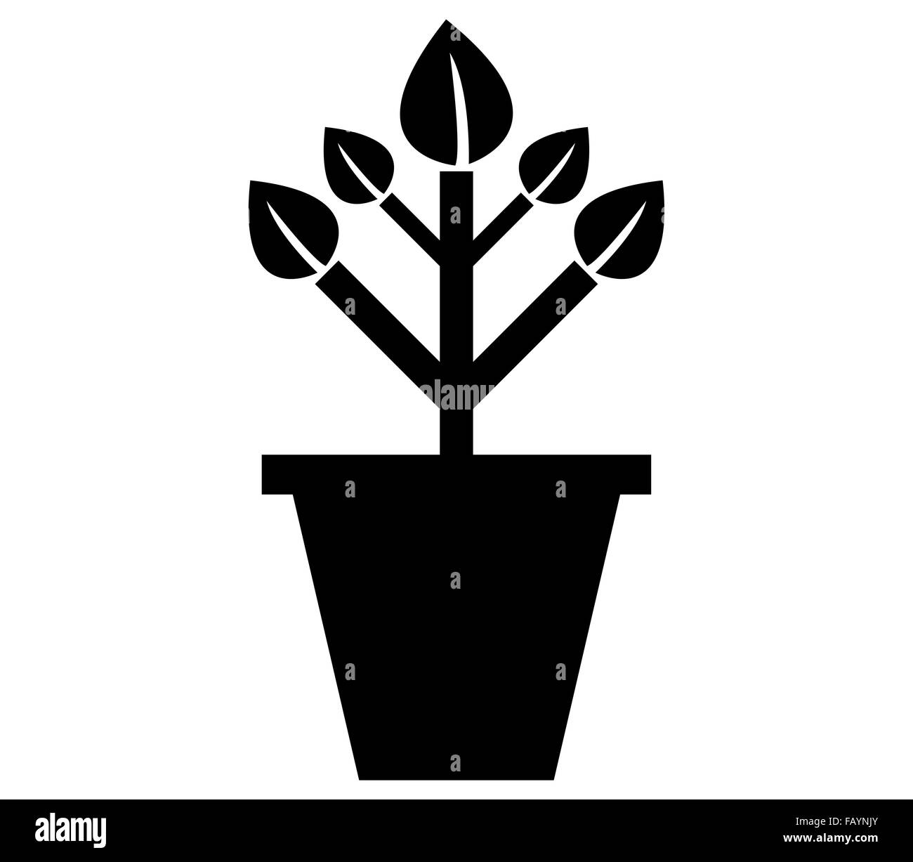 Impianto sulla pentola su sfondo bianco Foto Stock