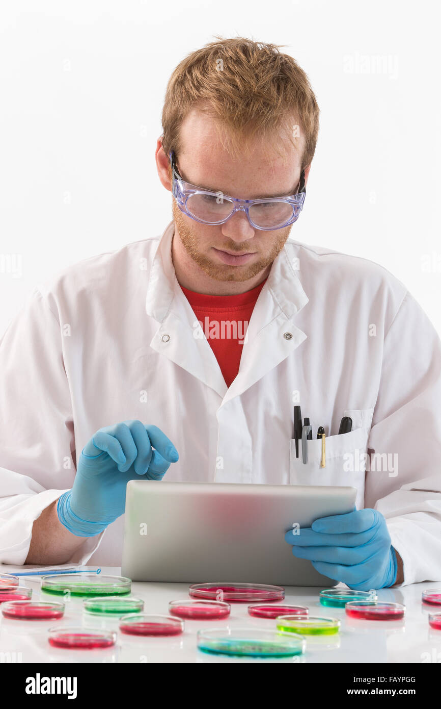 Scienziato utilizzando tablet nel laboratorio di microbiologia Foto Stock