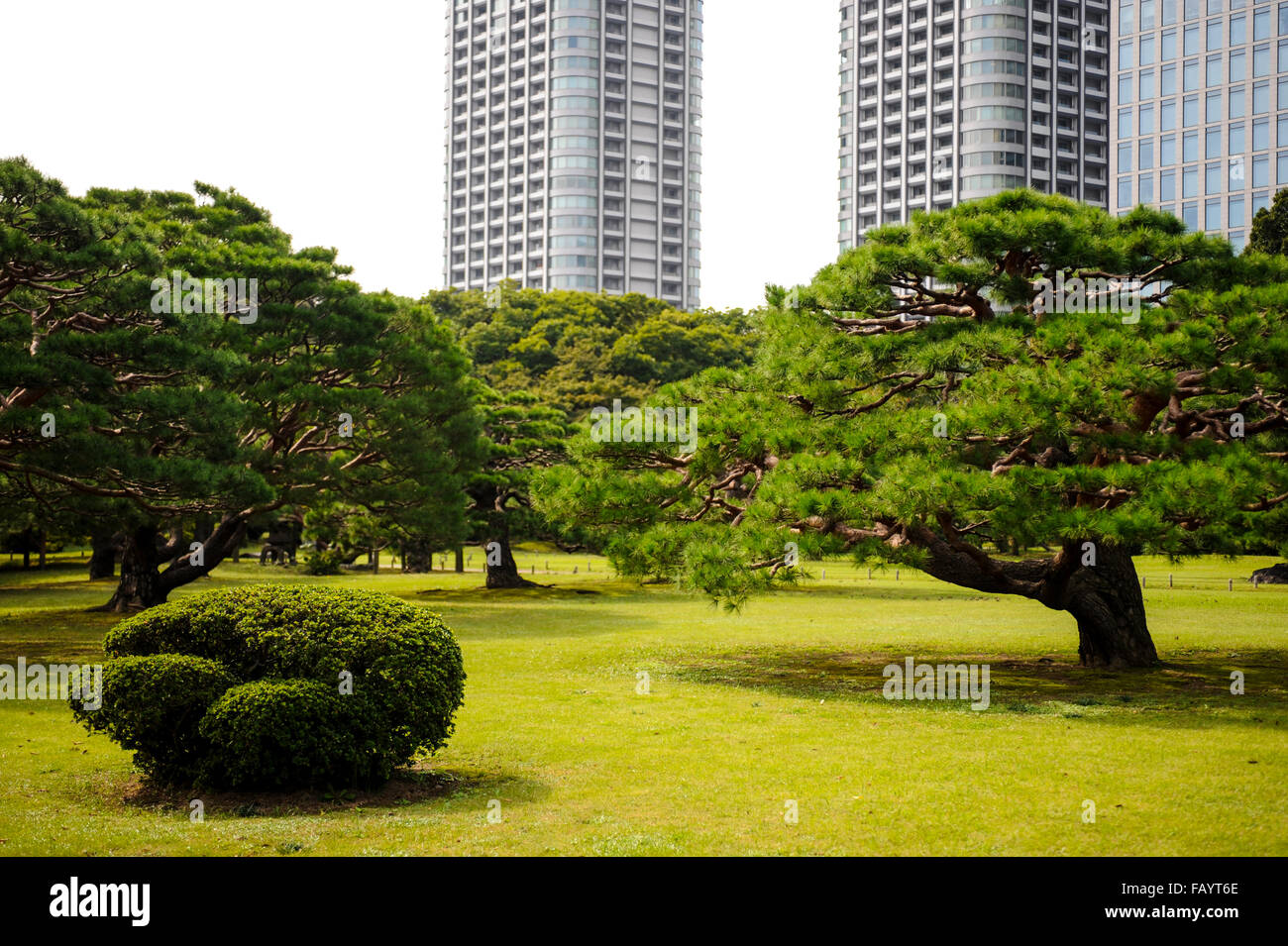 Giardini Hama-Rikyu, Shimbashi, Tokyo, Giappone Foto Stock