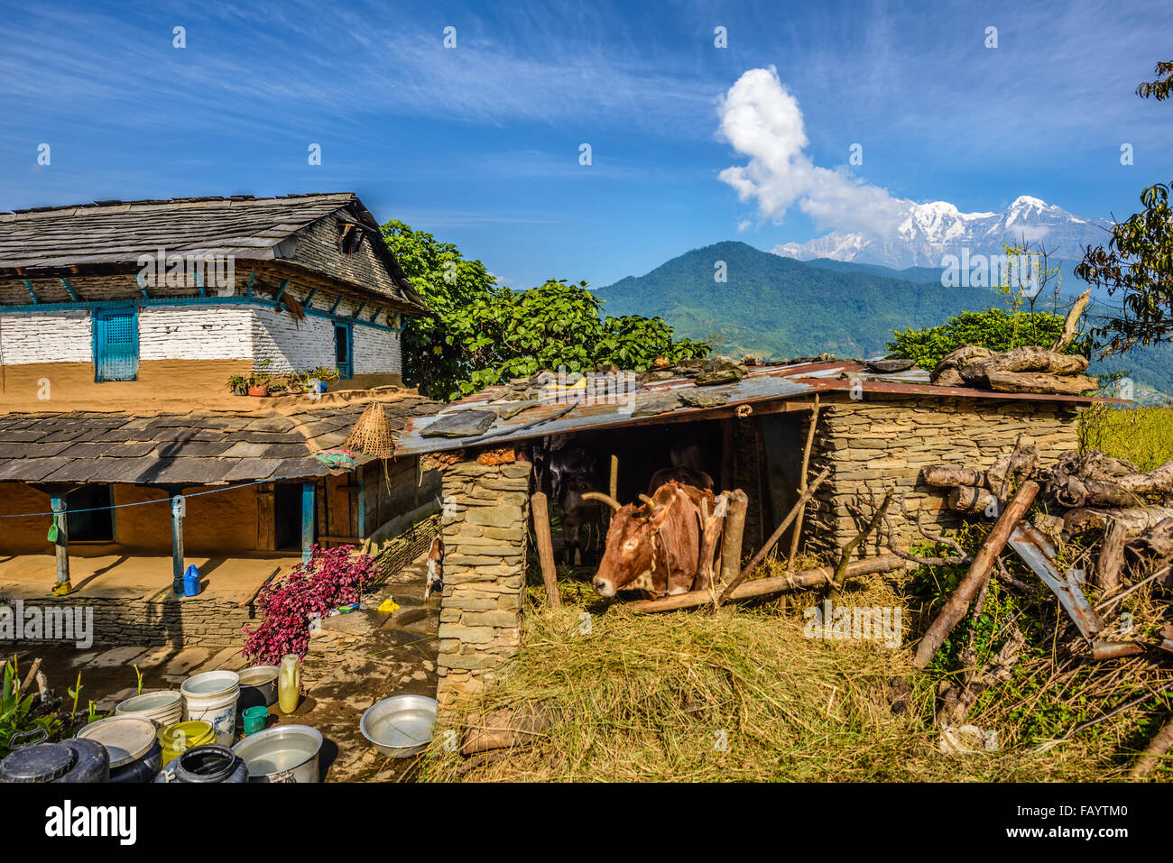 Vista panoramica delle montagne Himalaya, una casa colonica e una stalla vicino a Pokhara in Nepal Foto Stock