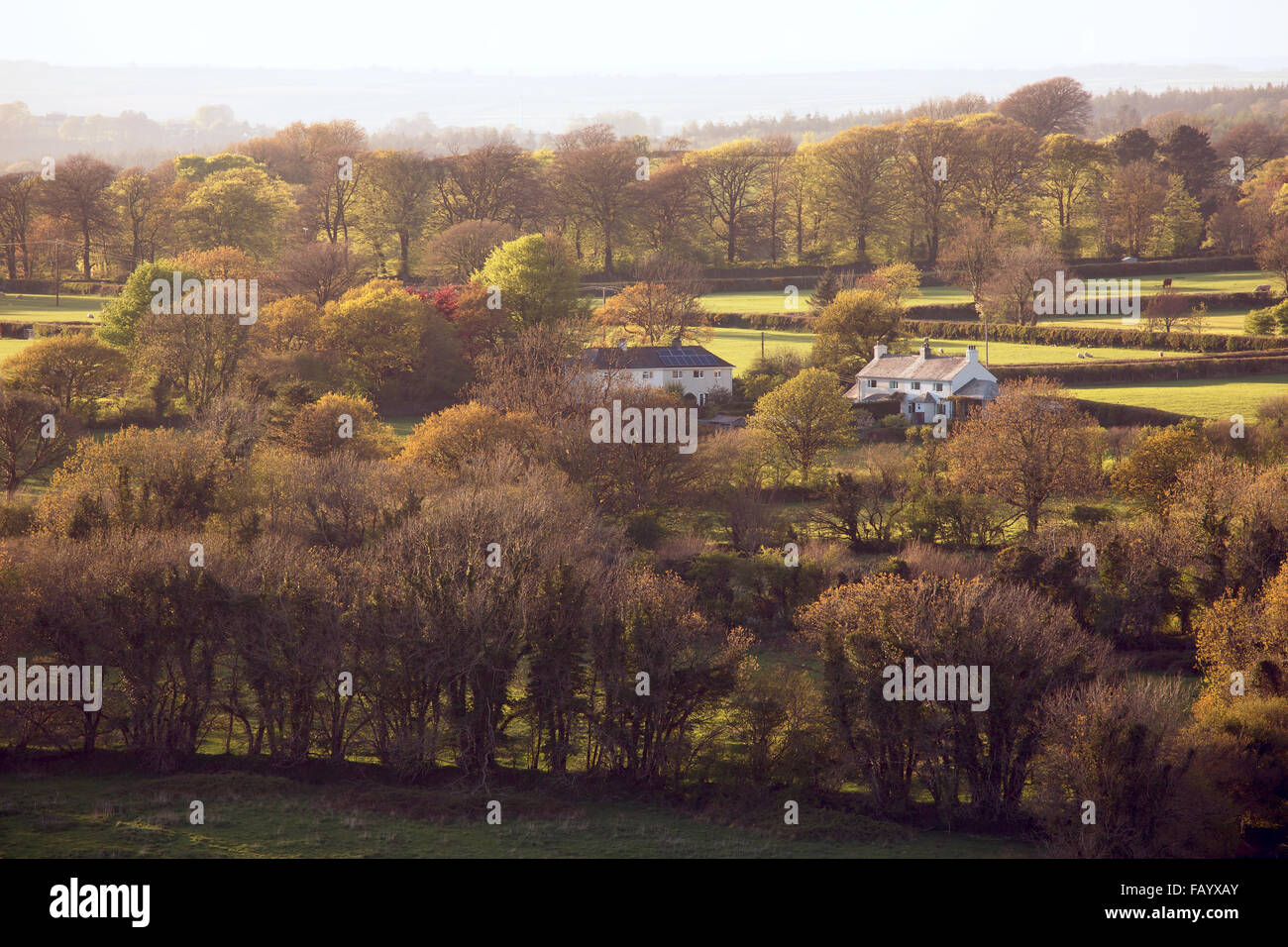 Inglese vista counrtyside vicino villaggio Brentor Devon UK Foto Stock