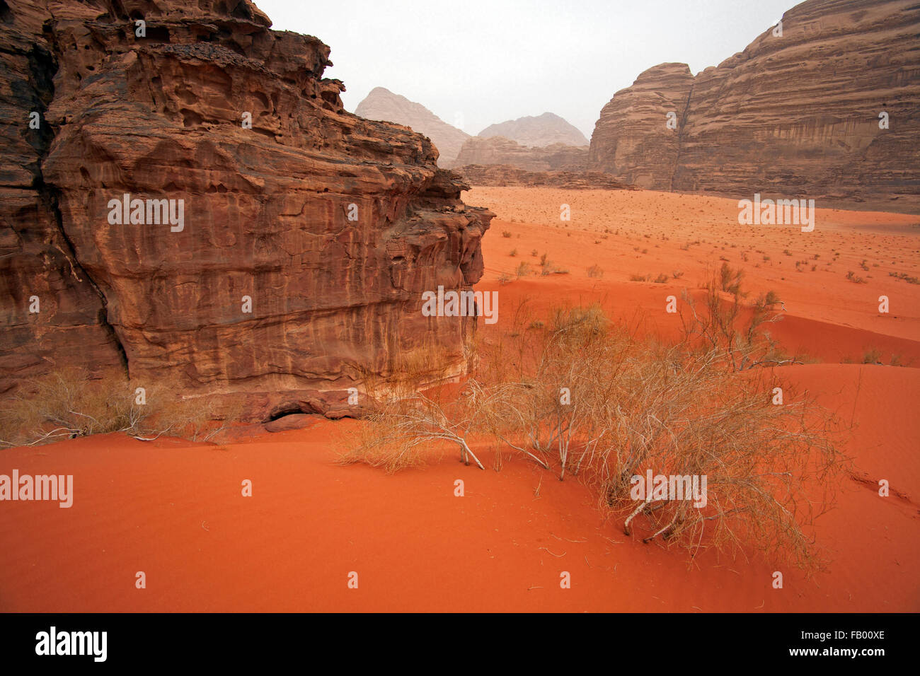Erosi roccia arenaria formazione nel Wadi Rum desert / La Valle della Luna in Giordania Meridionale Foto Stock