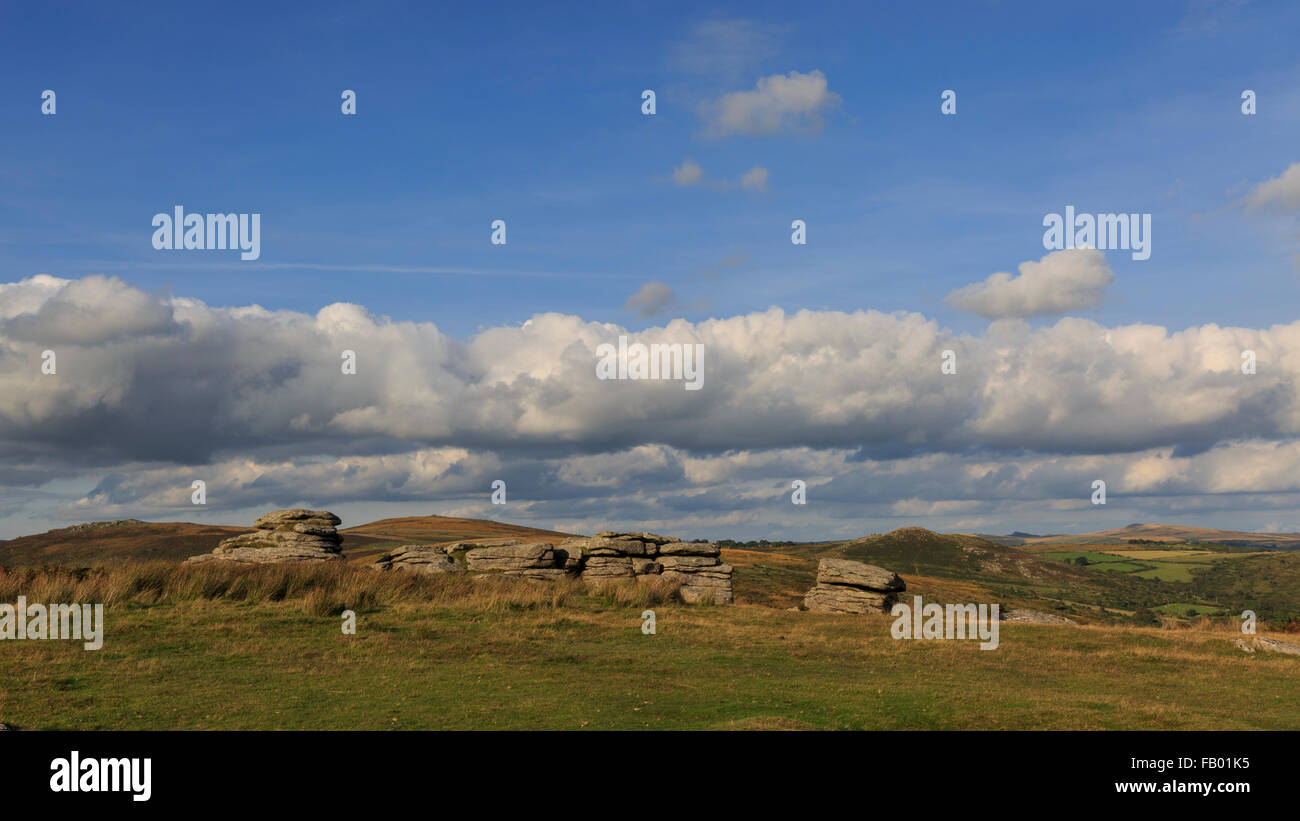 Combestone Tor è un facilmente accessibile il granito tor su Dartmoor Devon, circondato da esposti brughiera Foto Stock