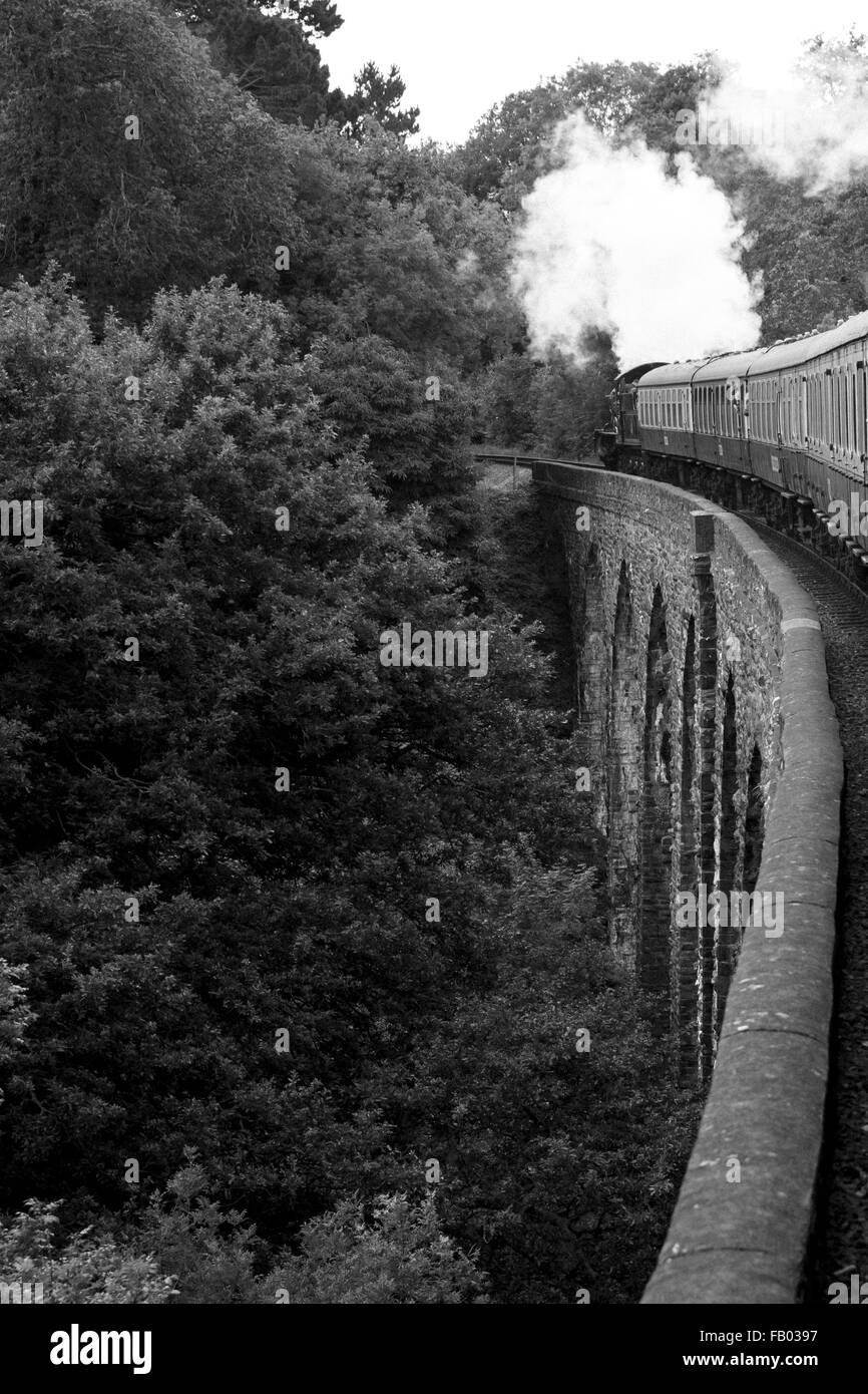 7827 Lydham Manor traina un treno attraverso la Greenway viadotto verso la stazione di Kingswear sul Dartmouth Steam Railway, Devon Foto Stock