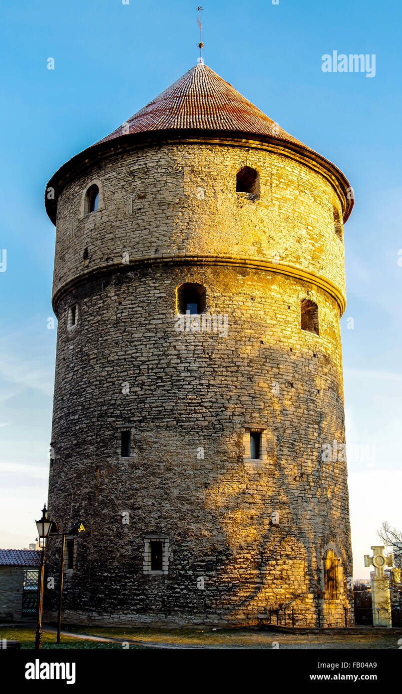 Torre medievale Kiek-in-de-Kok nel parco sulla collina di Toompea Foto Stock