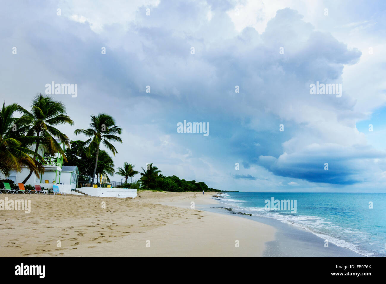 Un anziano uomo visto in lontananza beachcombs sull isola di St. Croix, U.S. Isole Vergini. USVI, U.S.V.I. Cottage sul mare resort. Foto Stock