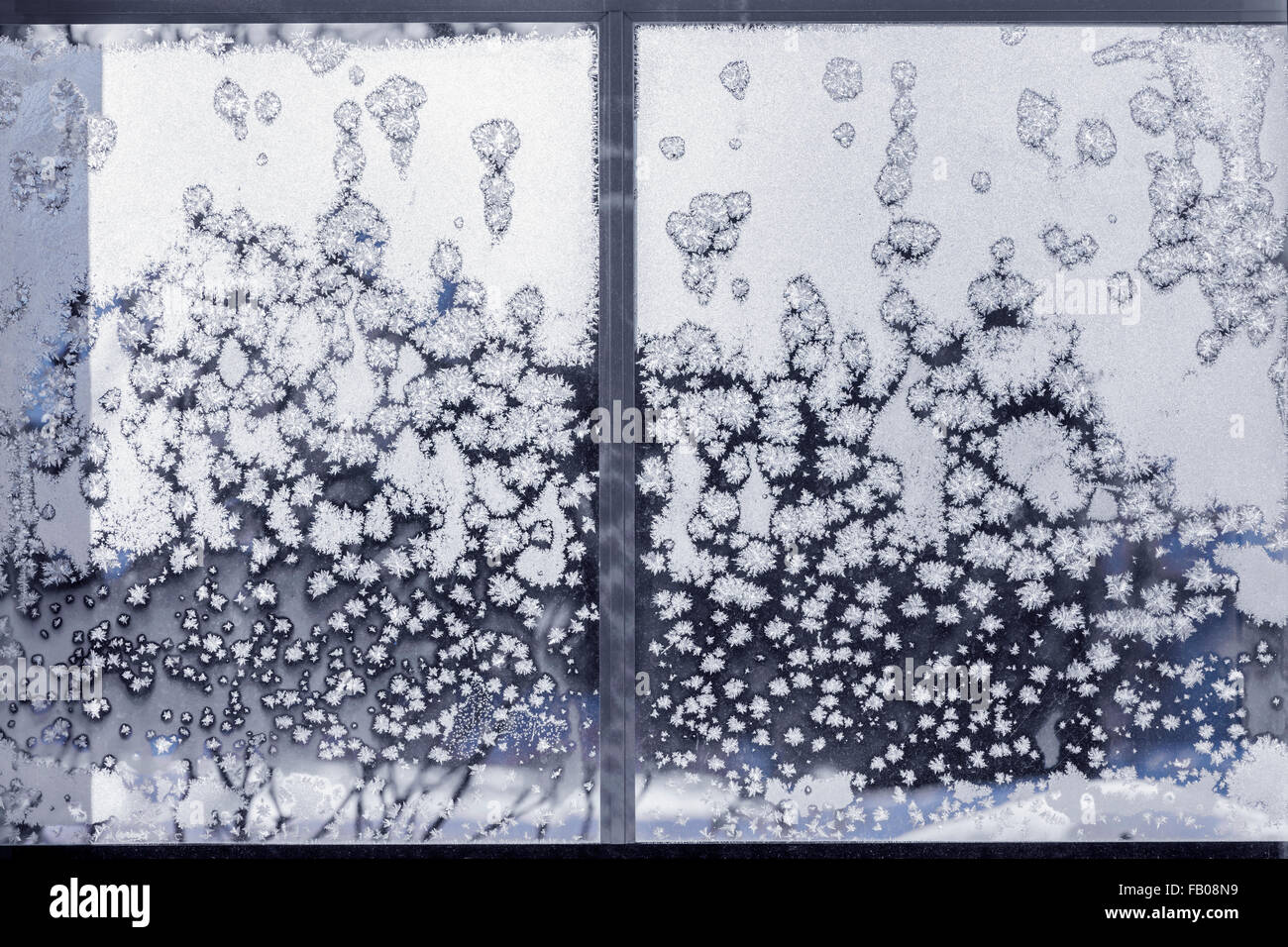 I cristalli di ghiaccio su gelido vetro di una finestra in inverno Foto Stock