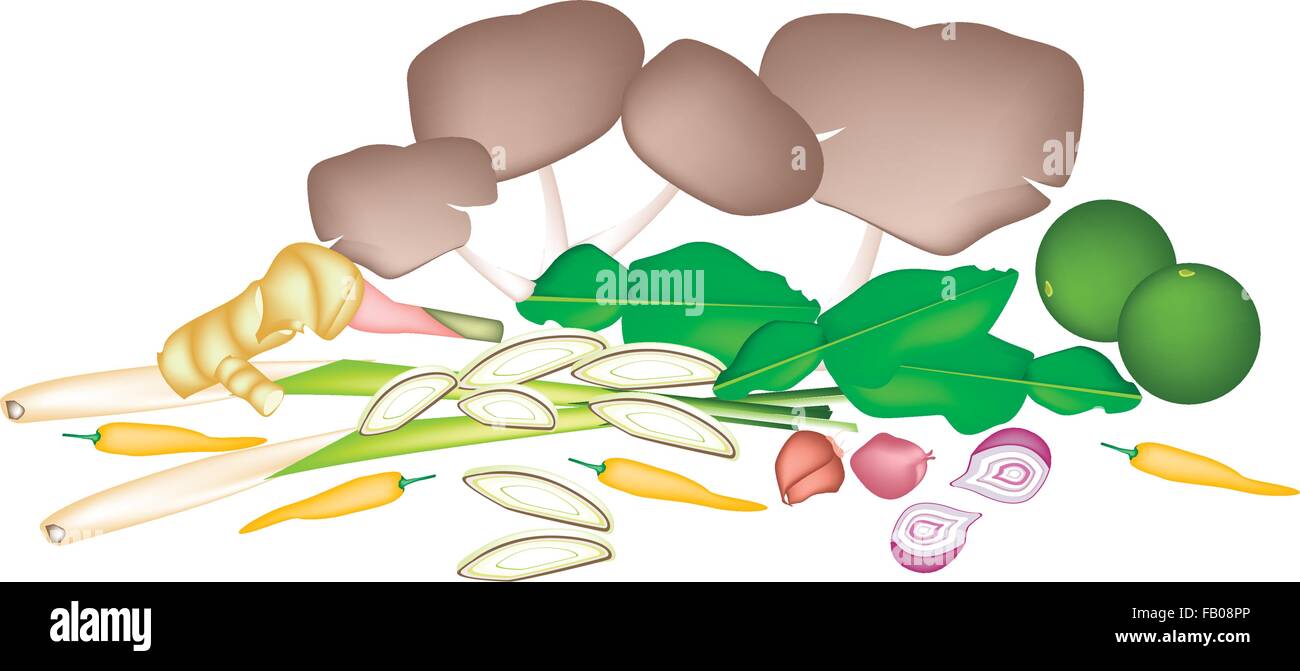 Vegetali e le erbe, un'illustrazione di una deliziosa di lime fresco, lo scalogno, Combava, peperoncino, citronella, Blue Ginger e Illustrazione Vettoriale
