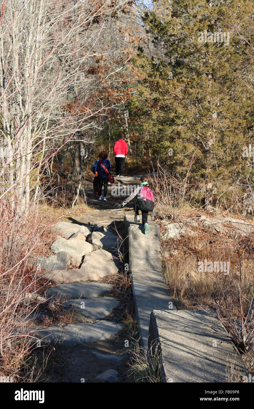 Foto lungo i sentieri escursionistici di Dogtown Massachusetts. Scolpiti nella pietra e messaggi di sentiero può essere trovato nel profondo del bosco. Foto Stock