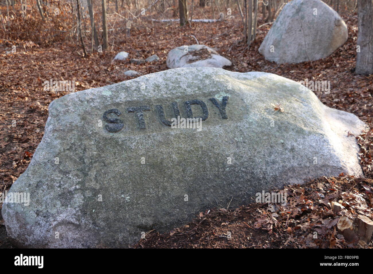 Foto lungo i sentieri escursionistici di Dogtown Massachusetts. Scolpiti nella pietra studio del messaggio può essere trovato nel profondo del bosco. Foto Stock