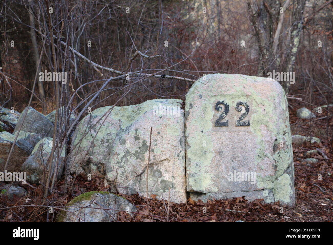Foto lungo i sentieri escursionistici di Dogtown Massachusetts. Pietra scolpita segnavia 22 riscontrato nel profondo del bosco. Foto Stock