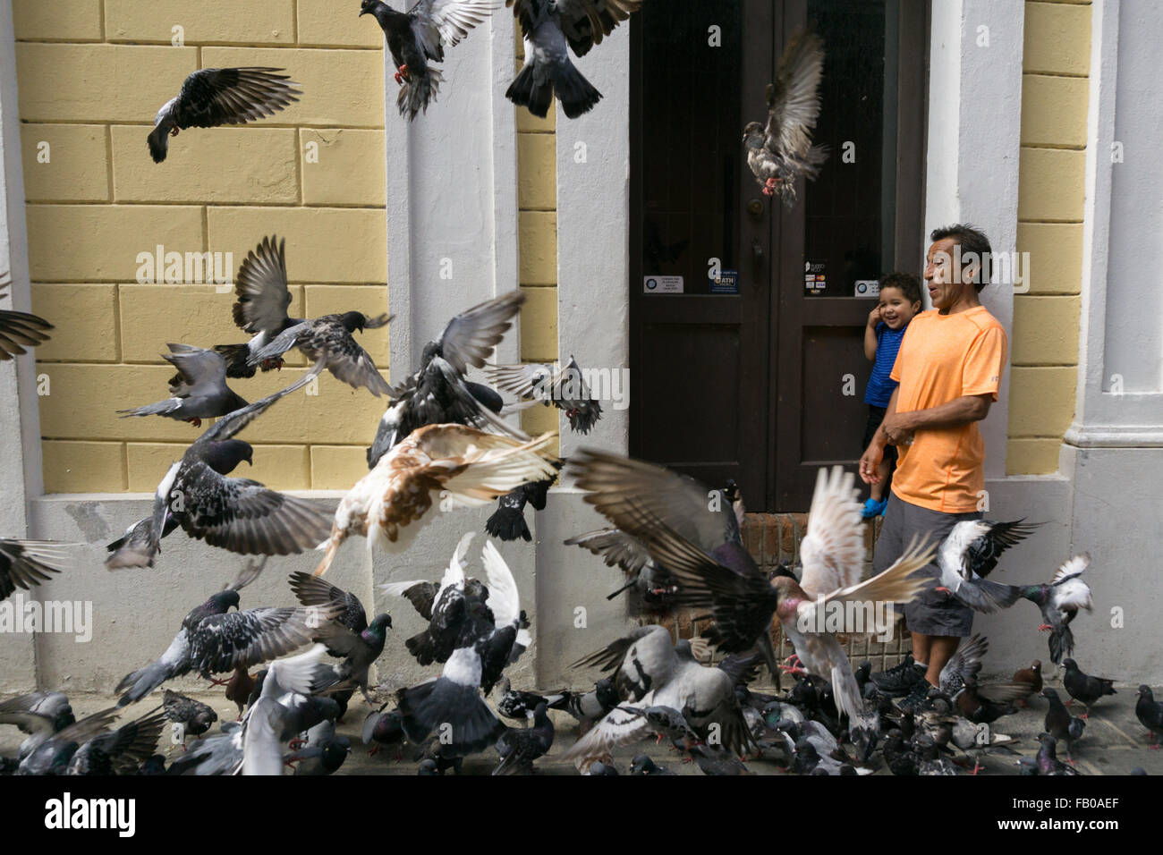 Un padre e figlio alimentare gli uccelli in città vecchia sezione di San Juan, Puerto Rico. Foto Stock