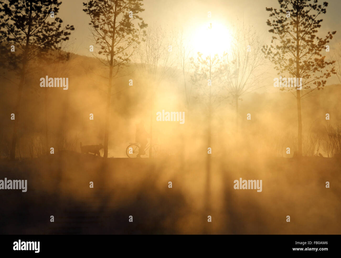 Maggiore Hinggan montagne, cinese della Provincia di Heilongjiang. Il 6 gennaio, 2016. Un uomo esercita mediante la nebbia-avvolto Ganhe fiume in maggiore Hinggan montagne regione, a nord-est della Cina di Provincia di Heilongjiang, Gennaio 6, 2016. Credito: Wang Qisheng/Xinhua/Alamy Live News Foto Stock