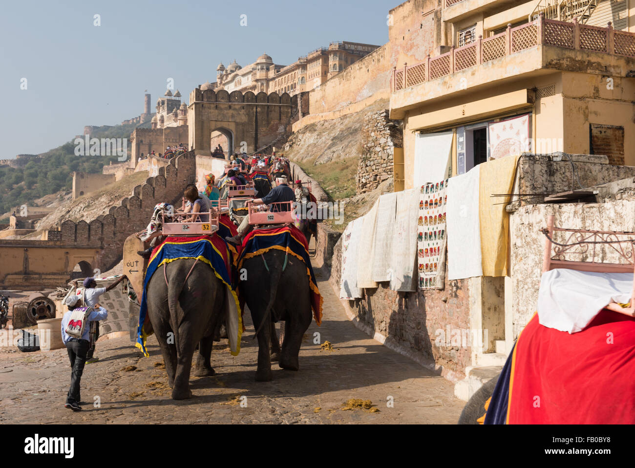 Giro dell'Elefante a Jaipur Foto Stock