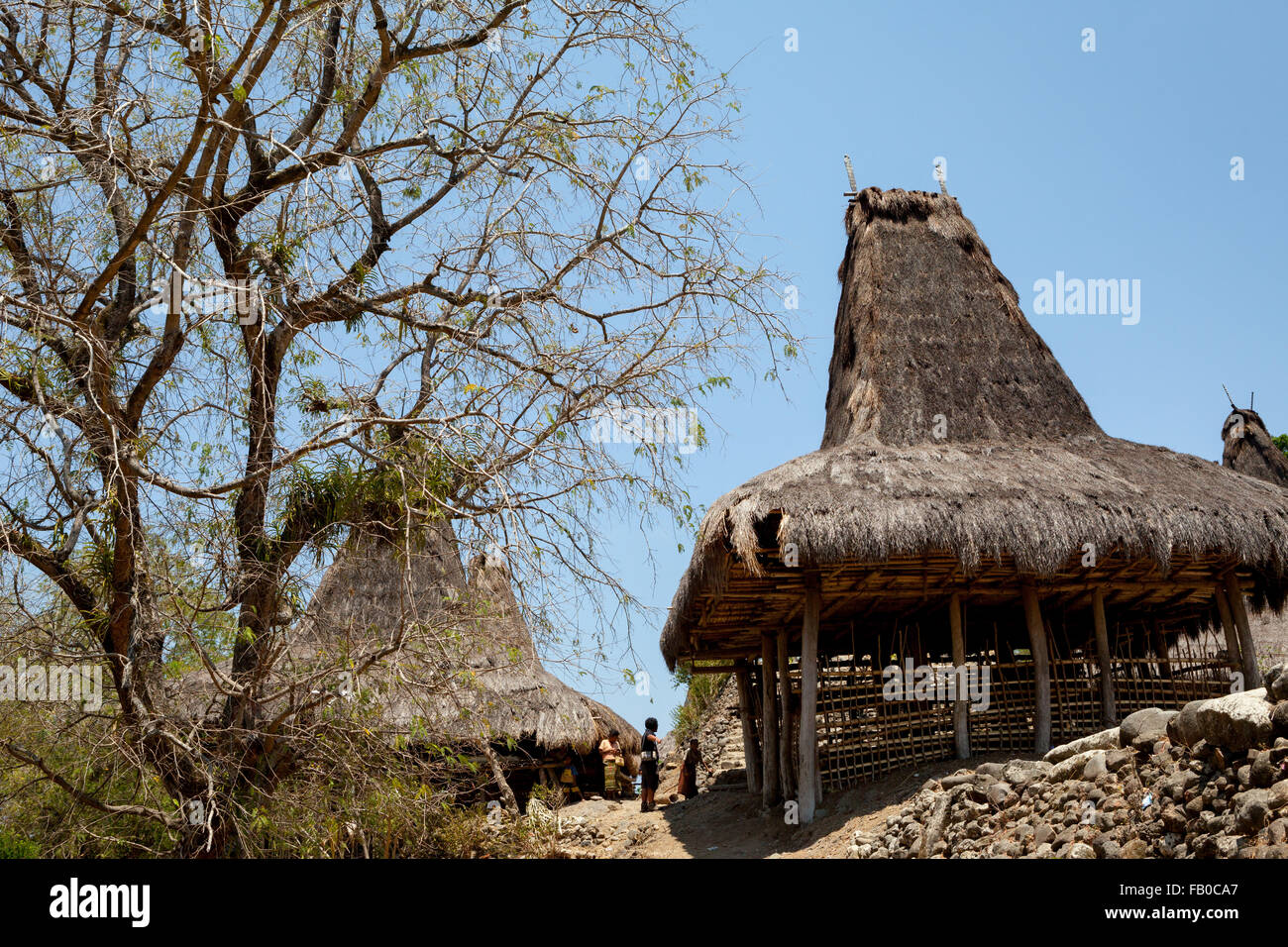 Villaggio tradizionale di Prai Goli durante la stagione secca a Waihura, Wanokaka, West Sumba, East Nusa Tenggara, Indonesia. Foto Stock