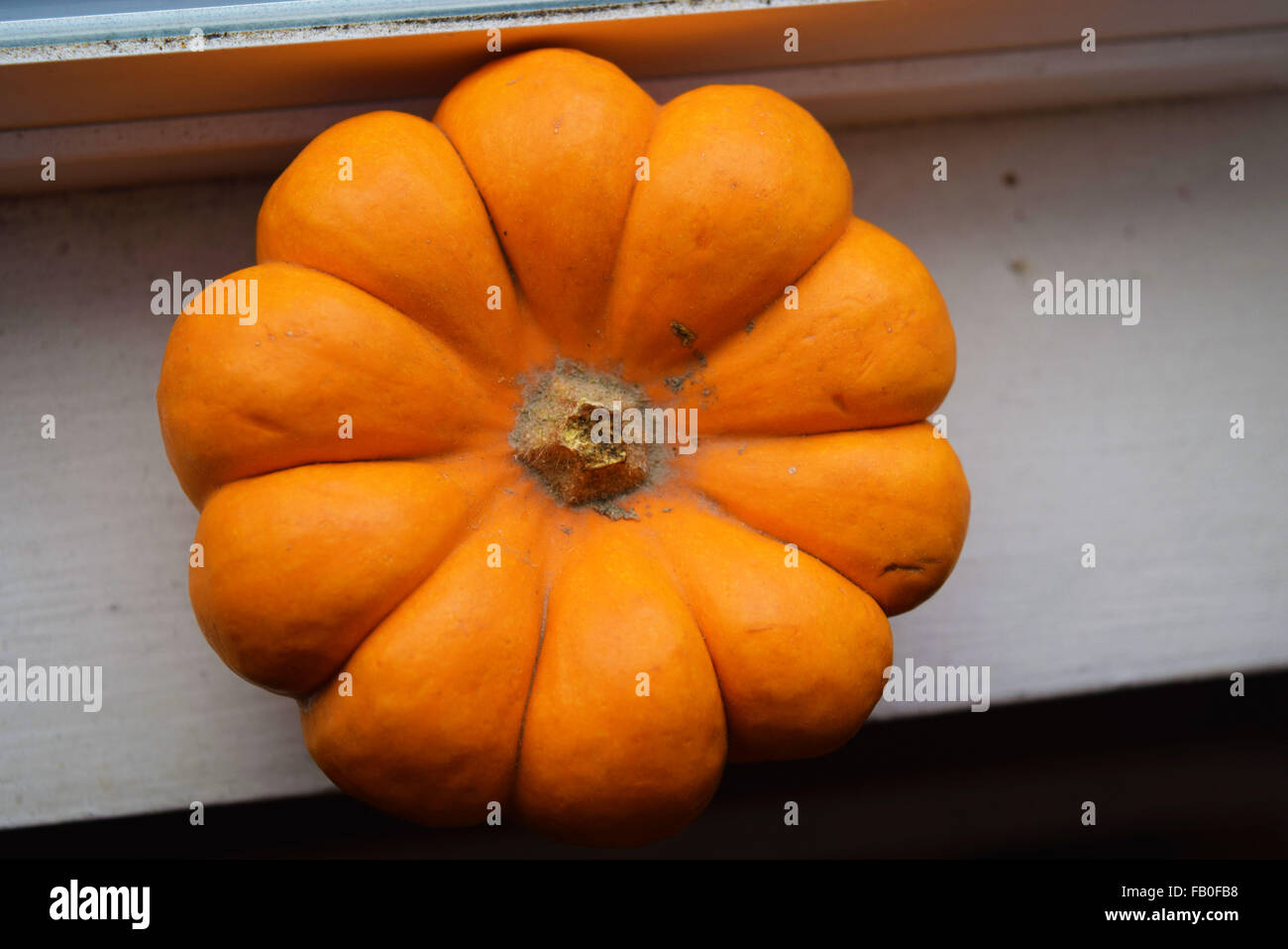 Piccola zucca zucca su un davanzale Foto Stock