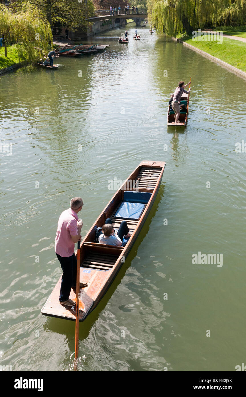 Punting sul fiume Cam dietro i collegi in una zona denominata i dorsi, Cambridge, Inghilterra, Regno Unito Foto Stock