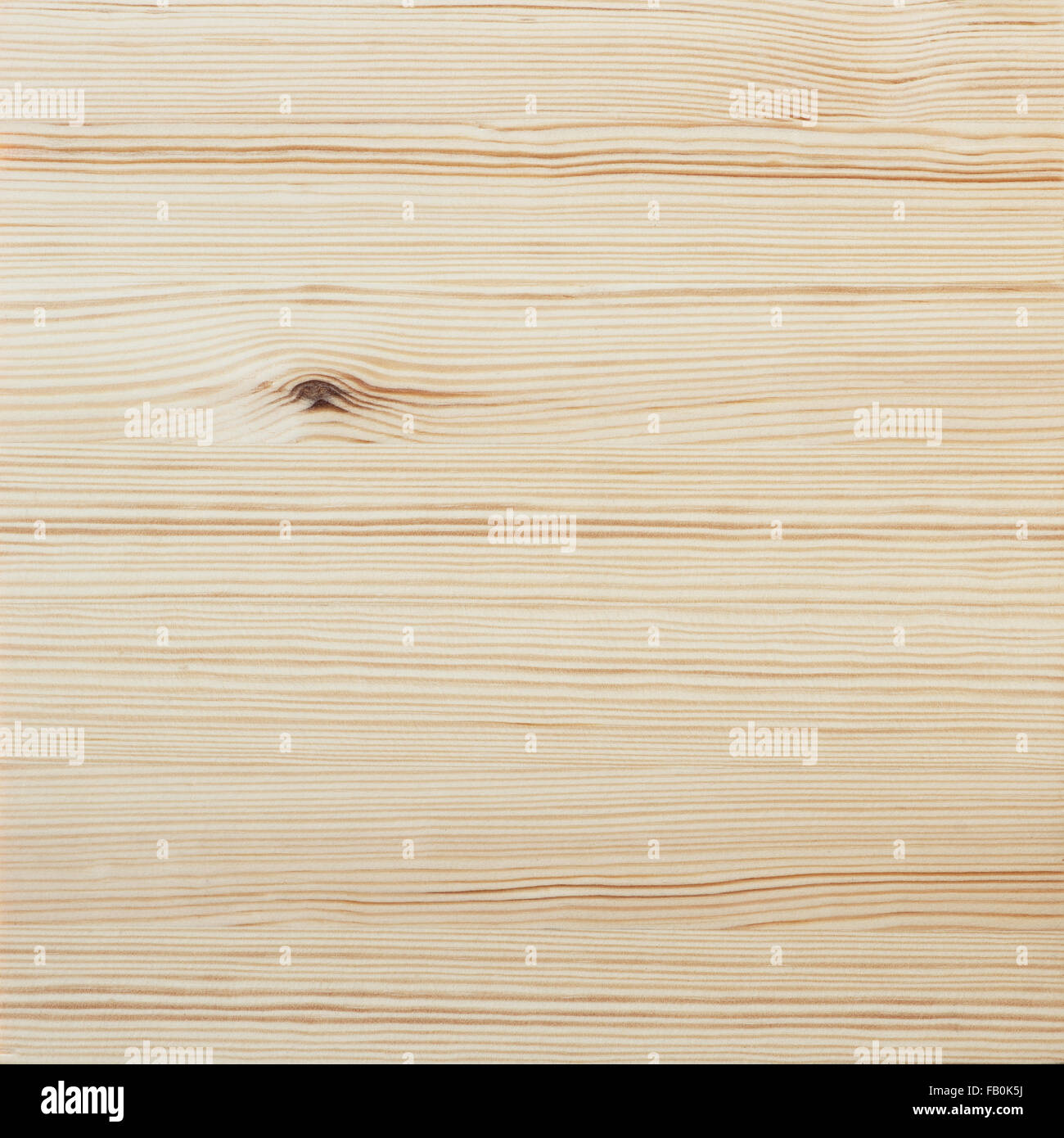 Texture in legno, legno chiaro dello sfondo. Legno di pino. Foto Stock