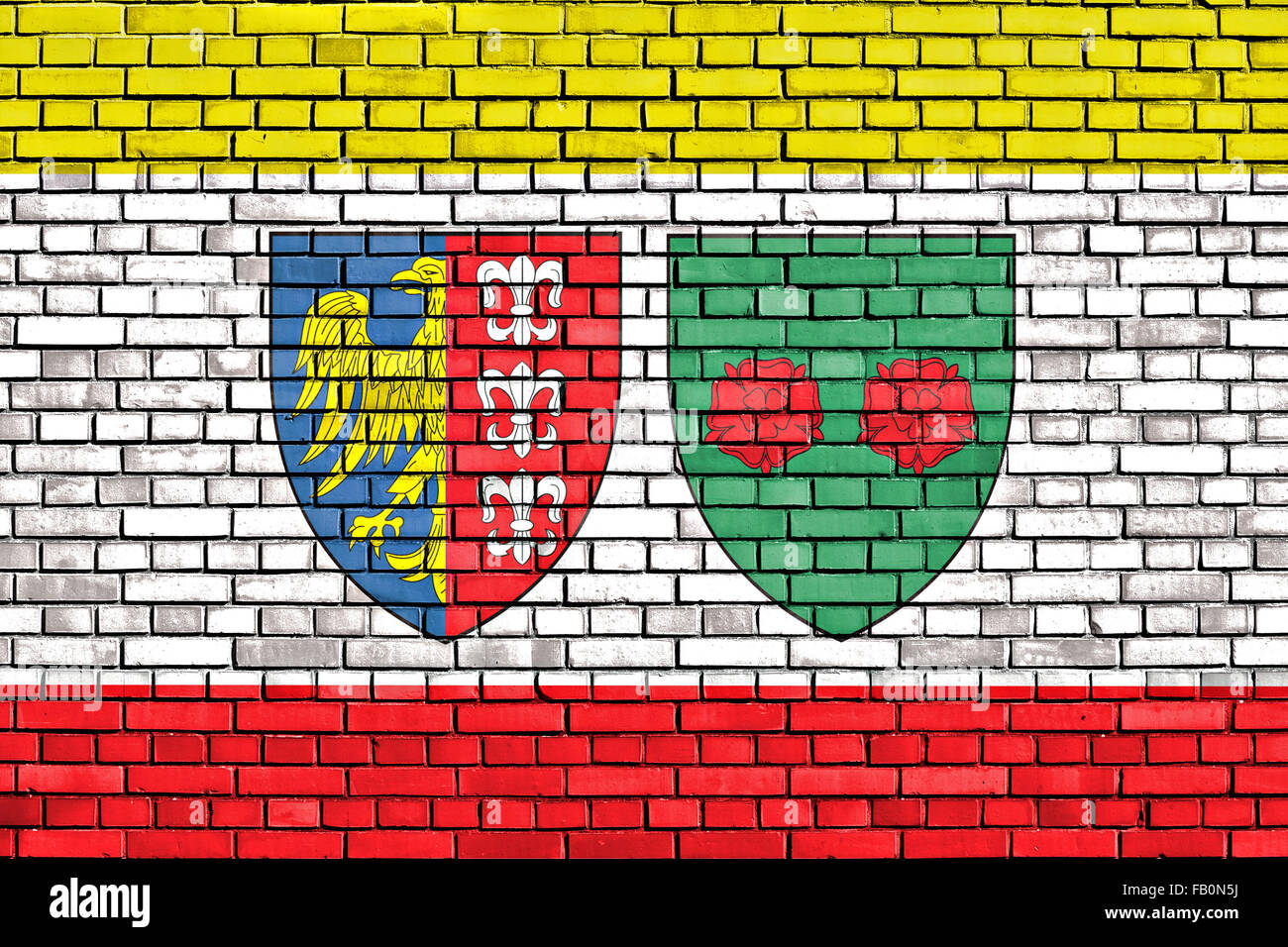 Bandiera di Bielsko Biala dipinta su un muro di mattoni Foto Stock