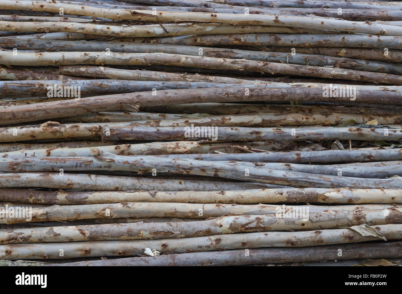 Pila di tronchi, legname palo a sito in costruzione lo spreco di materiale di legno per il riciclaggio. Foto Stock