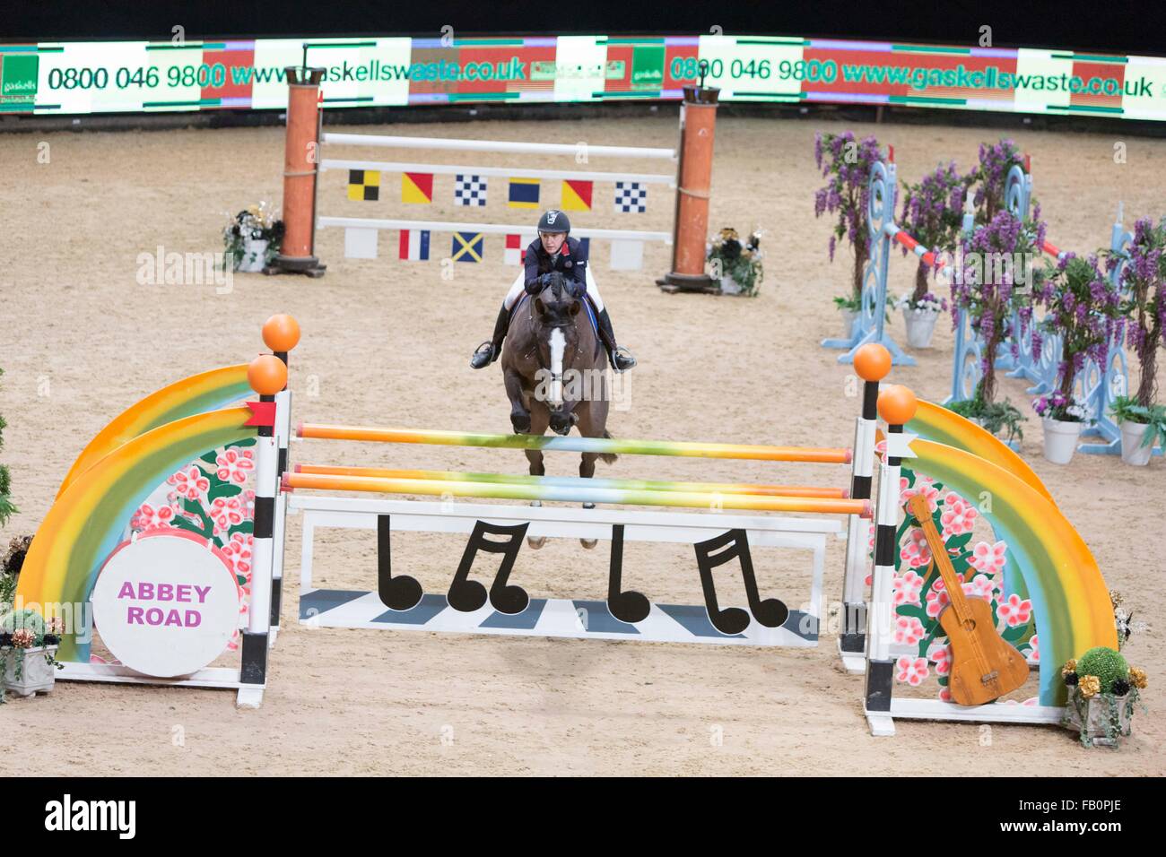 Il Liverpool International Horse Show , Gennaio 2016 , NEL REGNO UNITO. Sally di Hopkinson sul Tempio Marple Foto Stock