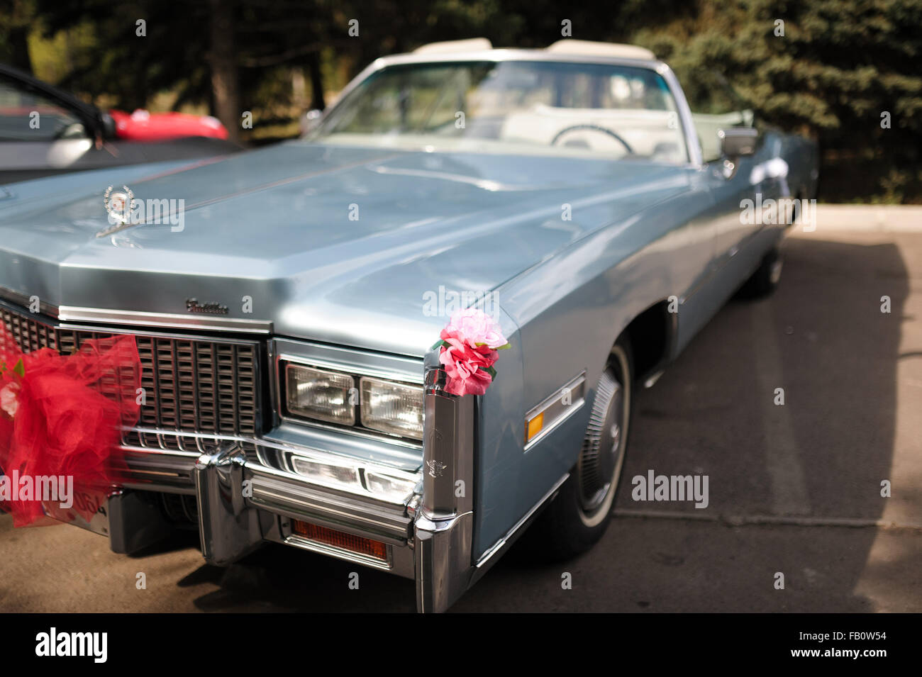 Cadillac di nozze immagini e fotografie stock ad alta risoluzione - Alamy