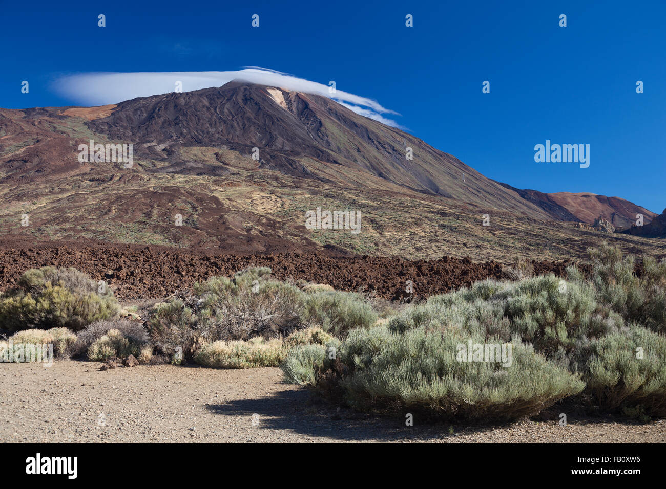 Il monte Teide, Tenerife, Isole Canarie Foto Stock