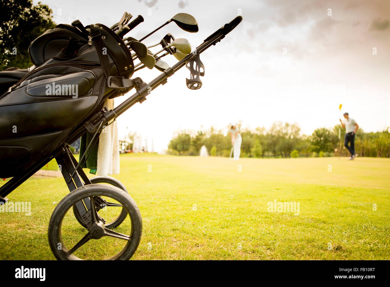 Borsa da golf con il club su campo verde Foto Stock