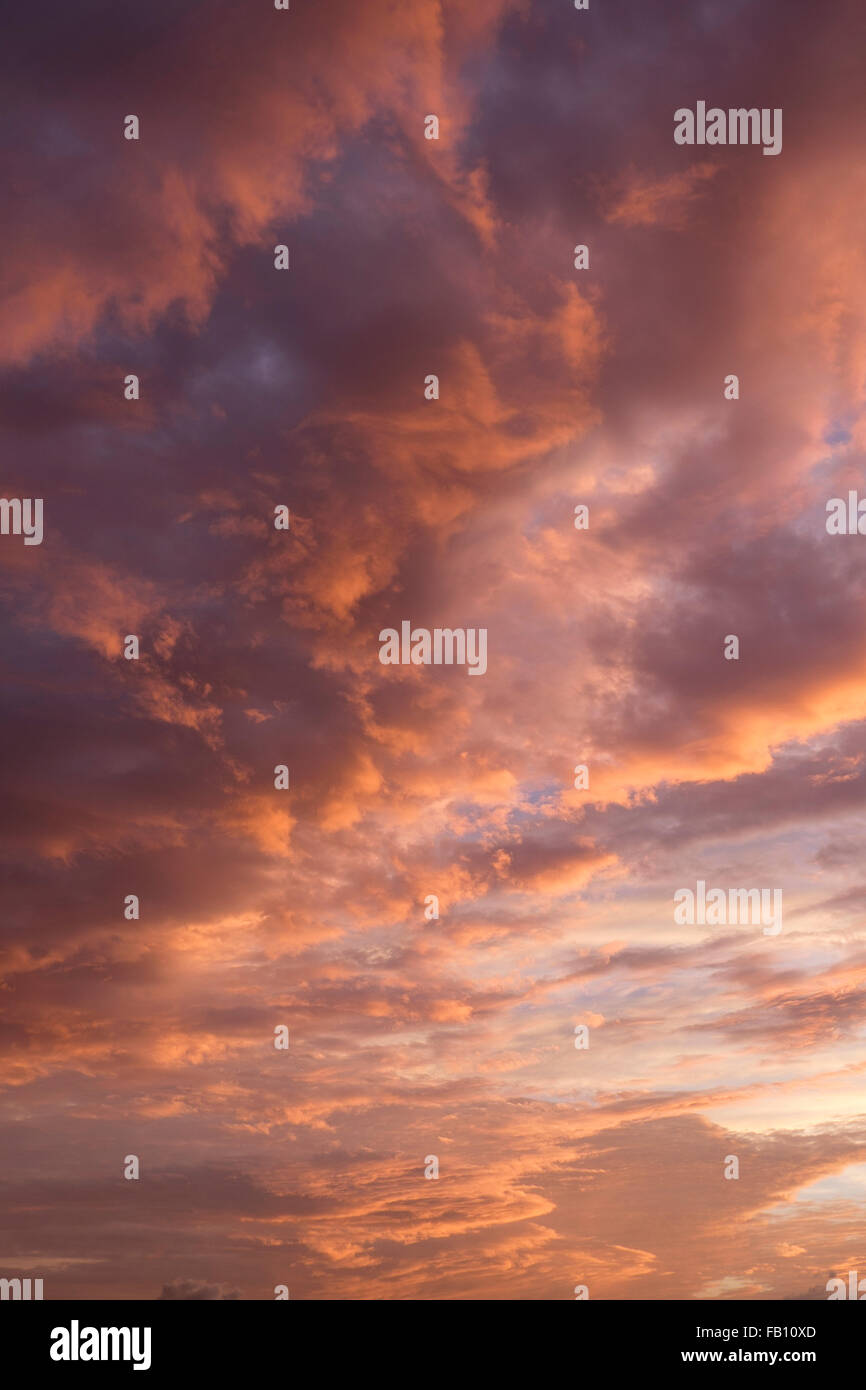 Cloudscape al tramonto Foto Stock