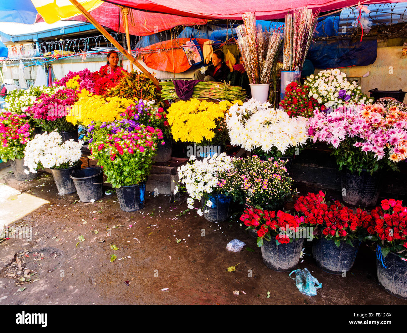 Pressione di stallo di fiori al mercato. Foto Stock