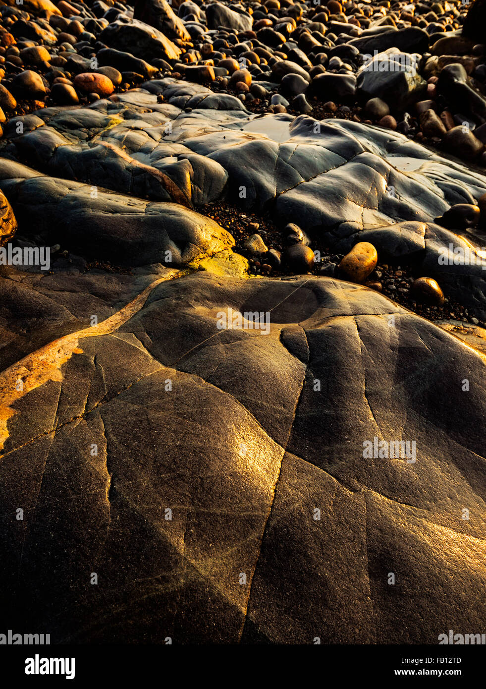 Rocce e ciottoli sulla spiaggia nel Parco Nazionale di Acadia Foto Stock