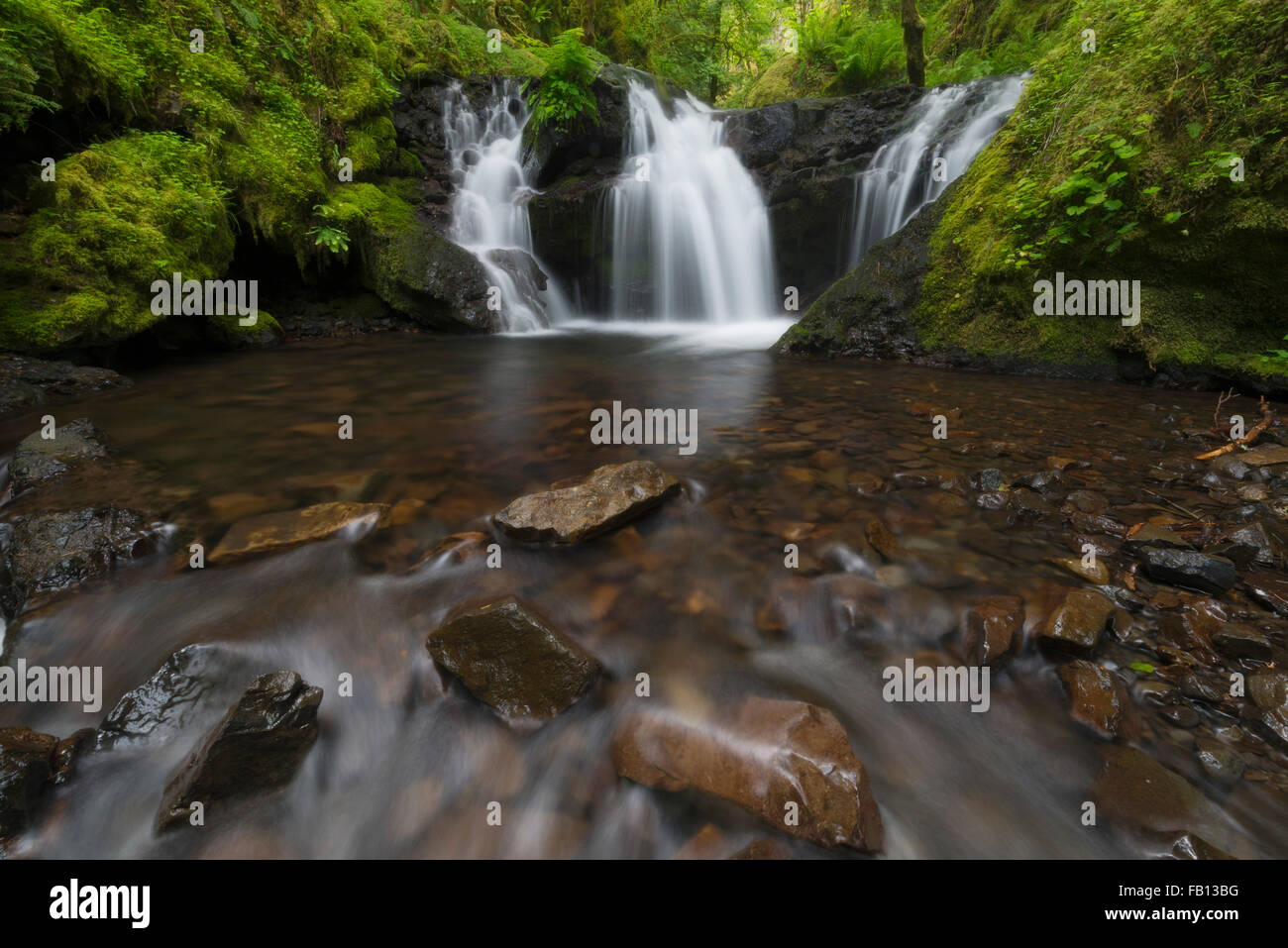 Cascate nel verde della foresta Foto Stock