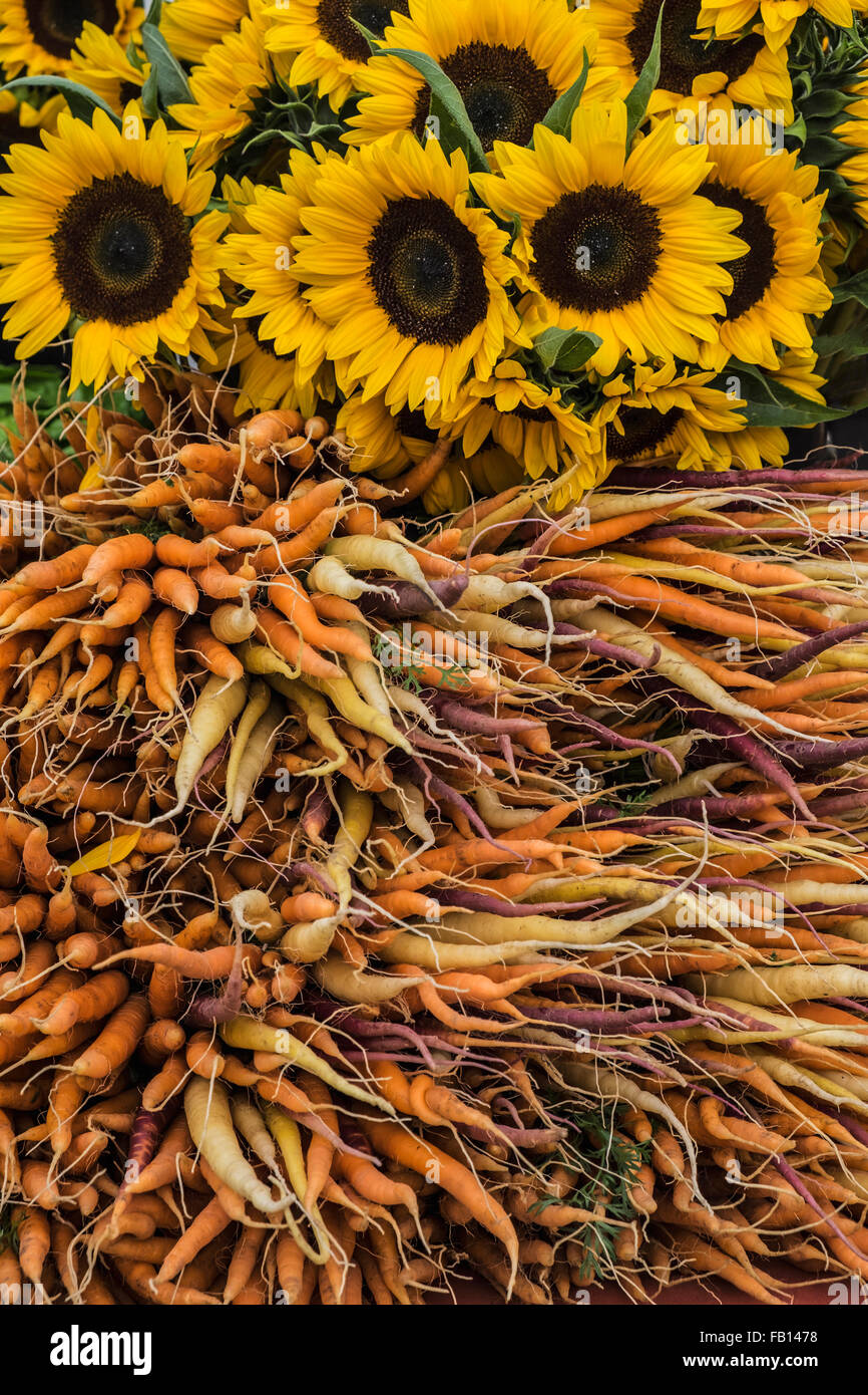 Le carote e i girasoli nel mercato degli agricoltori Foto Stock