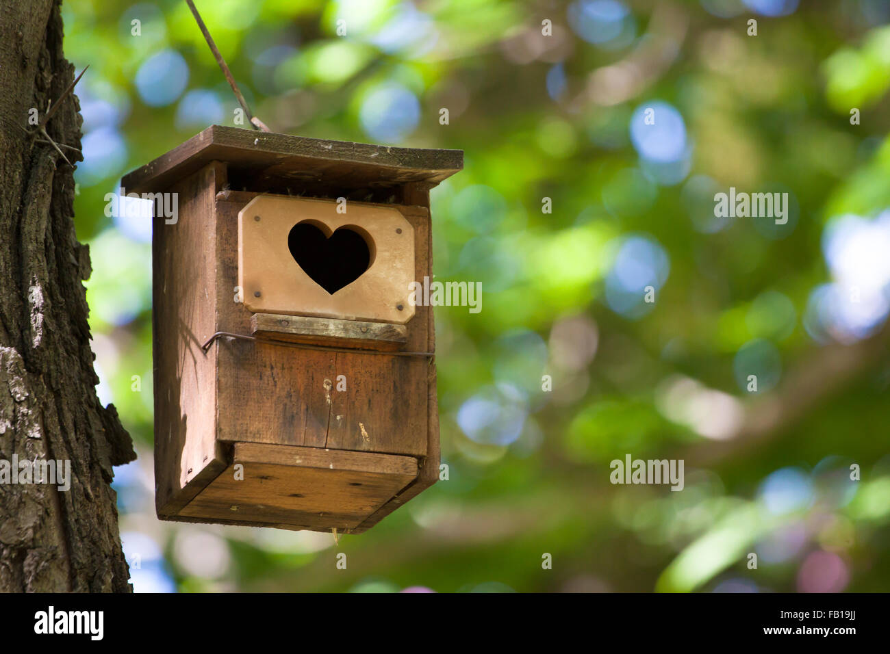 Bird house con il cuore shapped entrata. Foto Stock