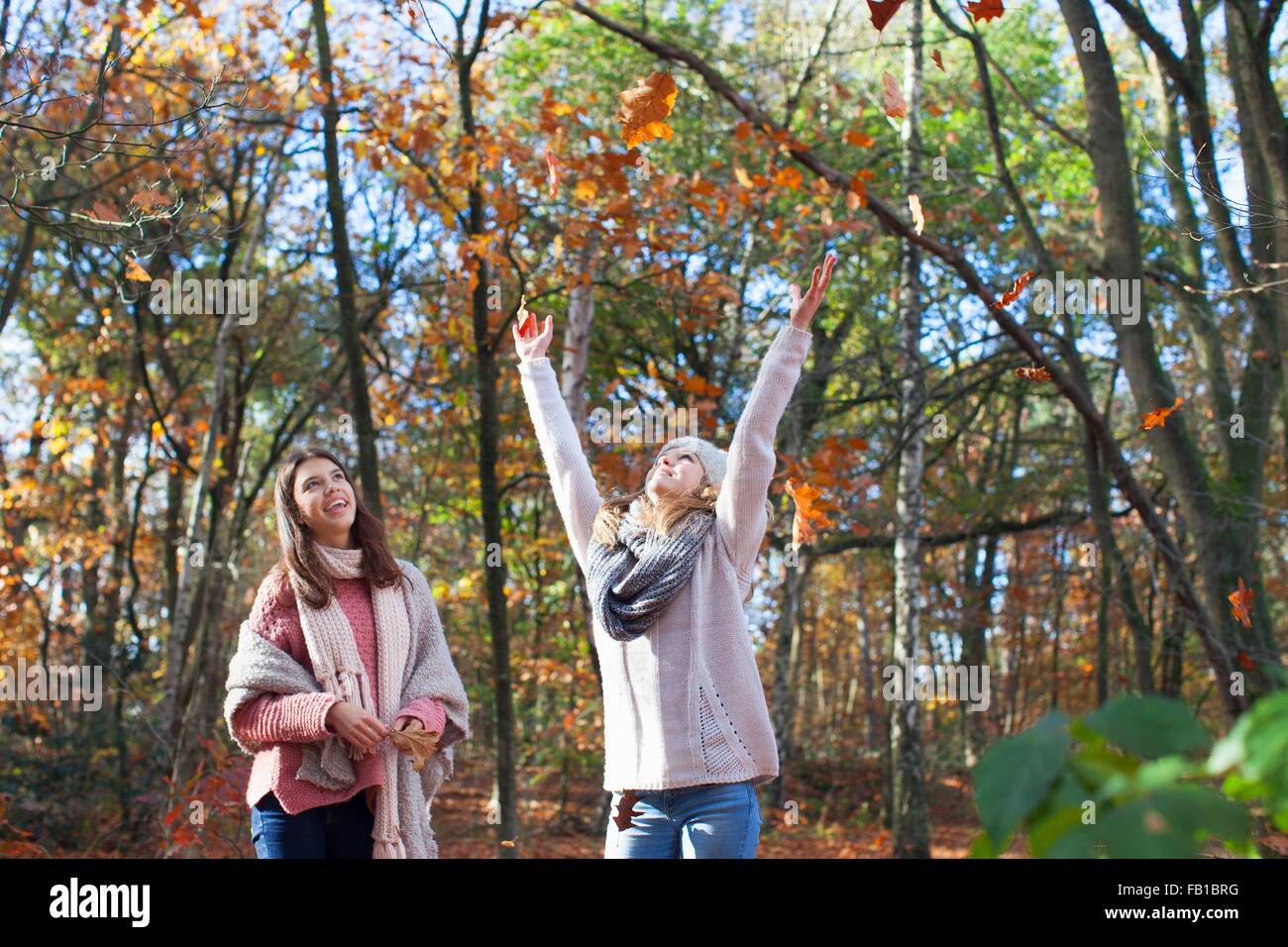 Le ragazze adolescenti nella foresta a braccia alzate gettando le foglie di autunno, cercando di sorridere Foto Stock