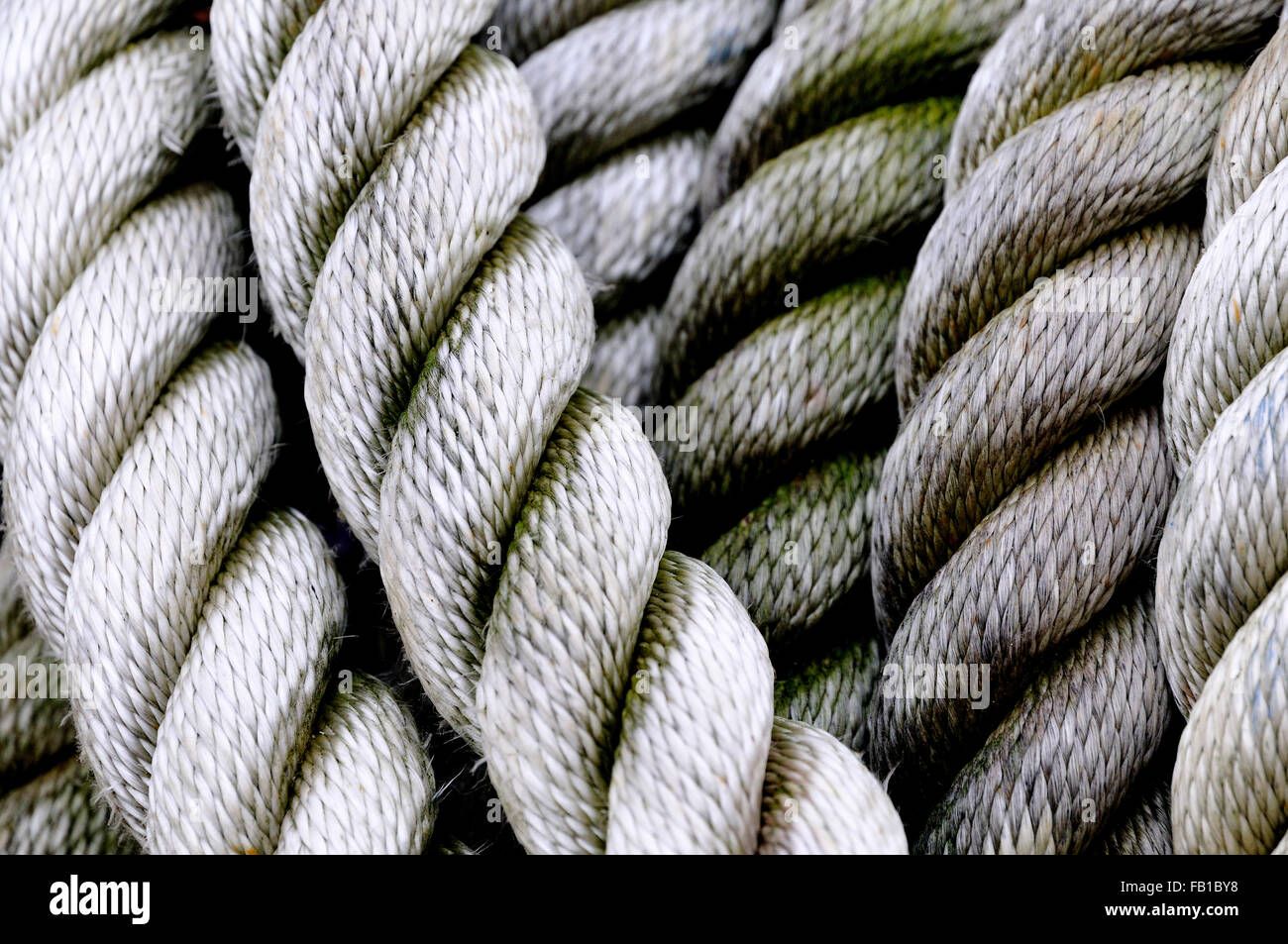 Spesso la cima di ormeggio, close-up Foto Stock