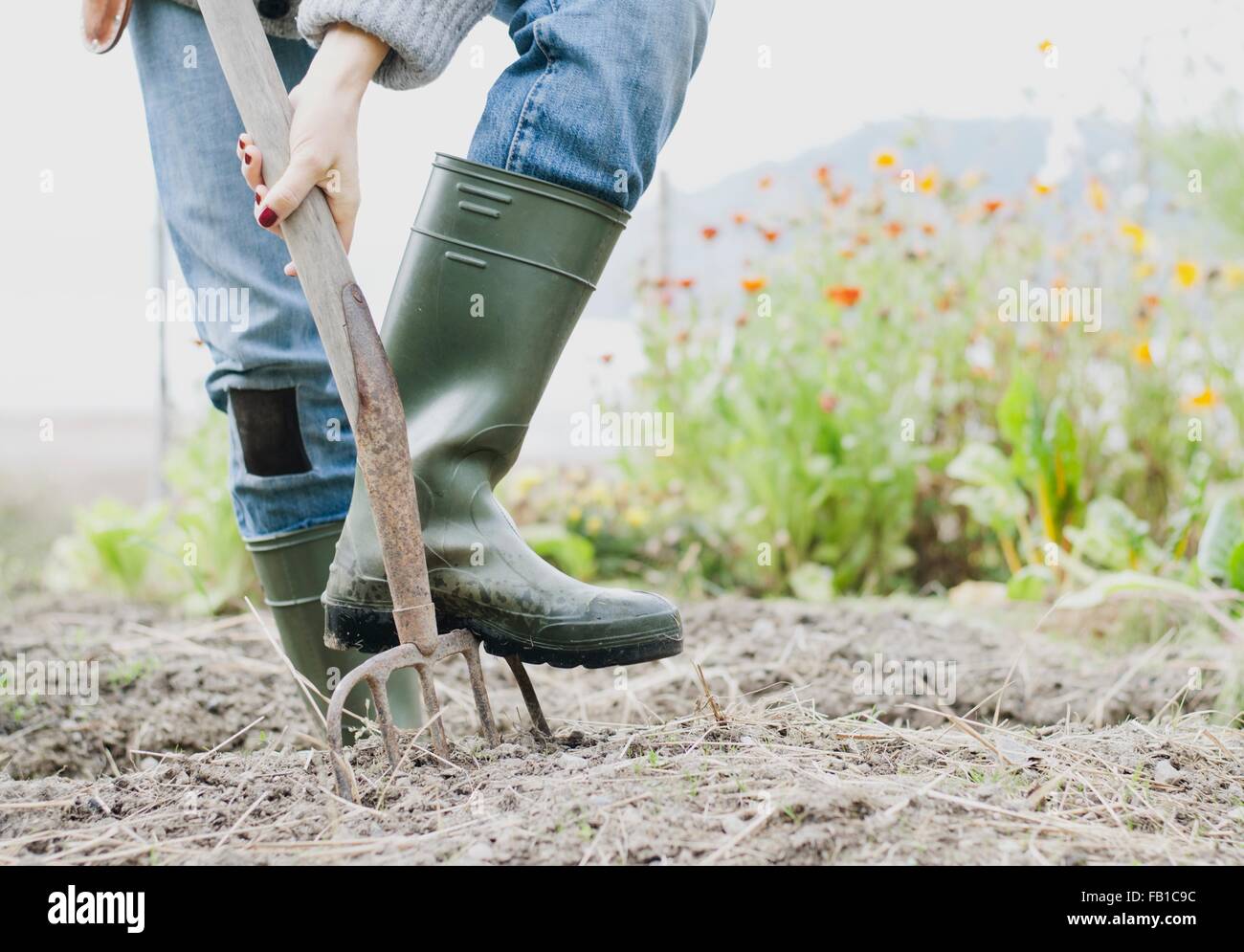 Scavando immagini e fotografie stock ad alta risoluzione - Alamy