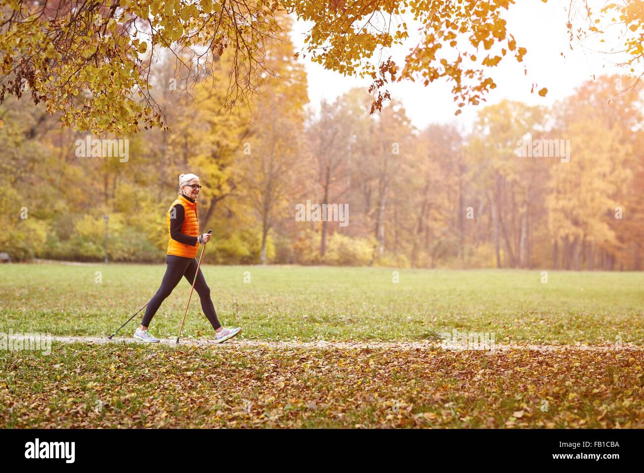 Femmina Senior Nordic Walker camminando in autunno il sentiero del parco Foto Stock